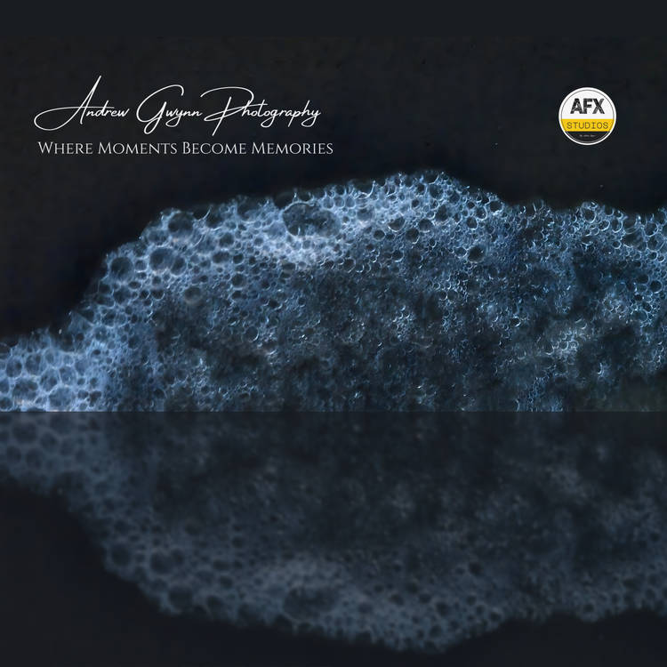 Andrew Gwynn Photography