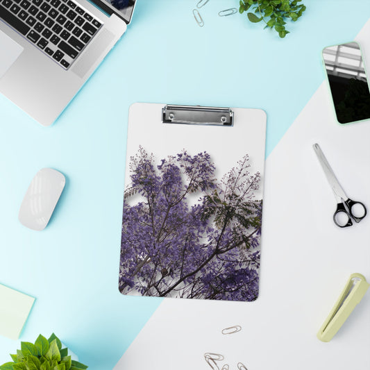 Jacarandas [Clipboard]