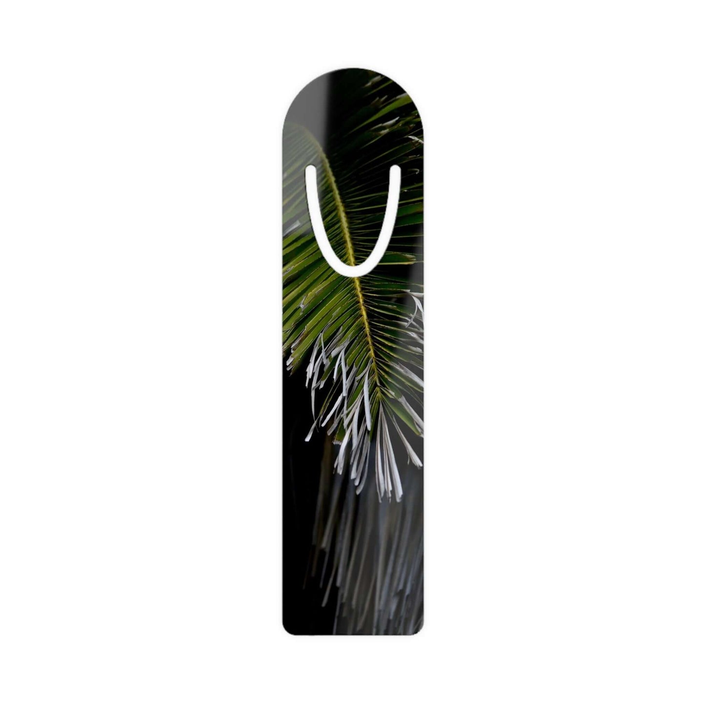 Dying Palm Tree [Bookmark]