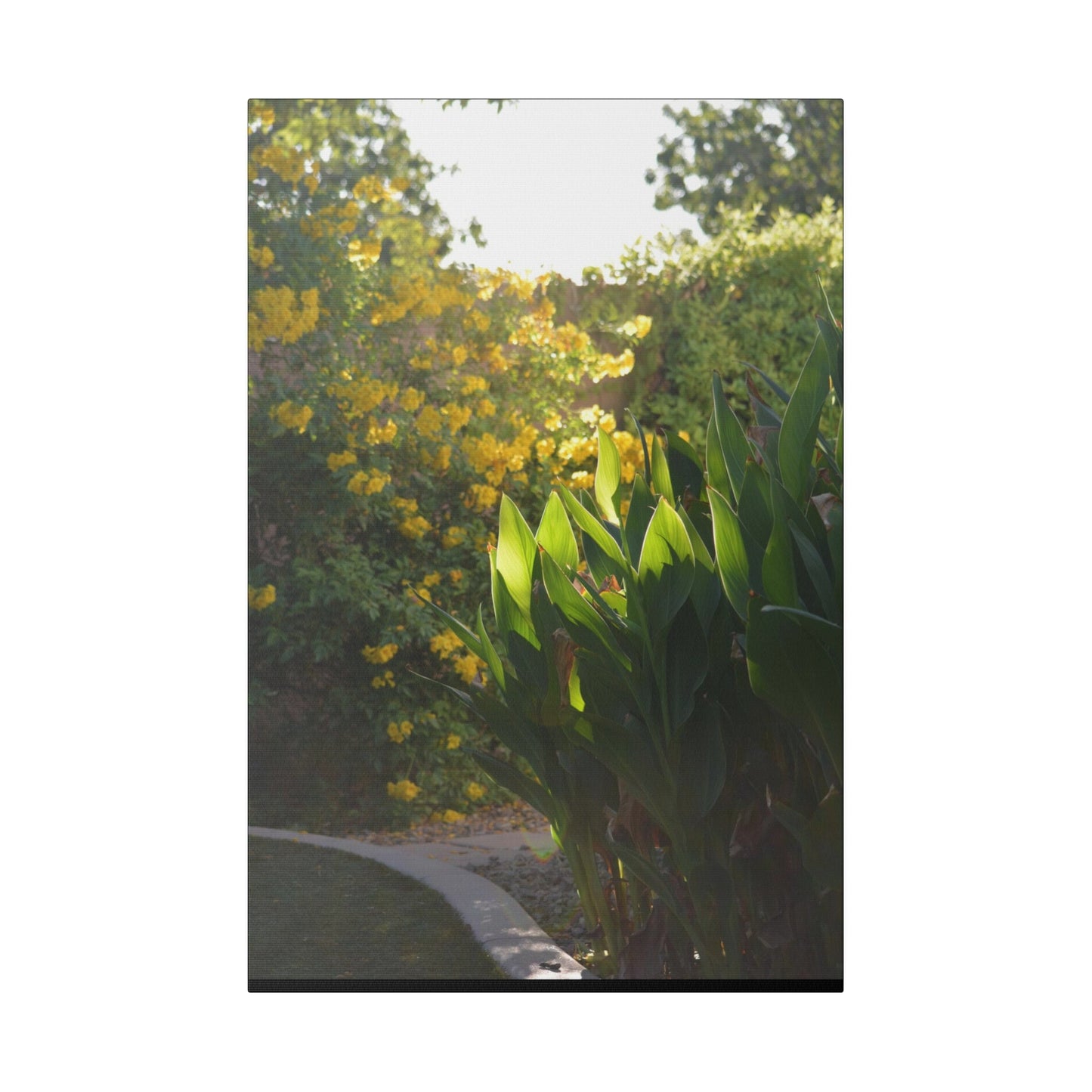 Parker Residence [Matte Canvas, Stretched, 0.75"]