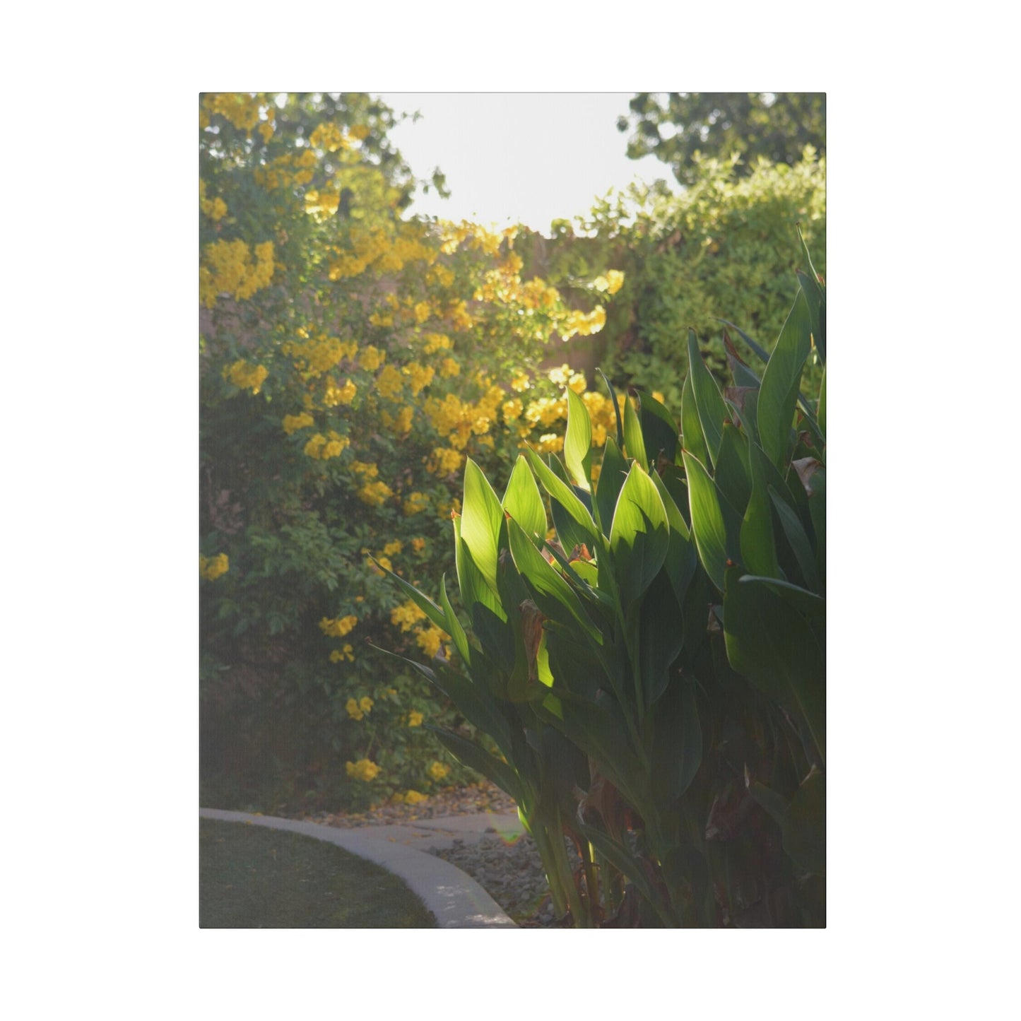 Parker Residence [Matte Canvas, Stretched, 0.75"]