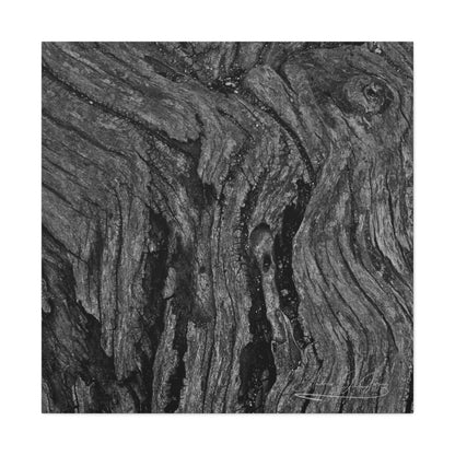 River in a Tree [Canvas Gallery Wraps]