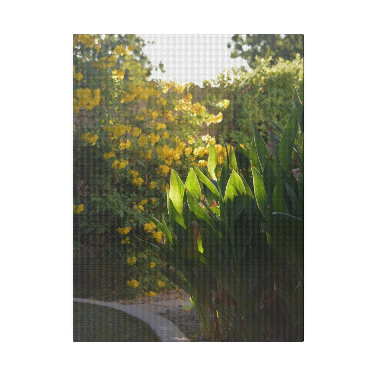 Parker Residence [Matte Canvas, Stretched, 0.75"]