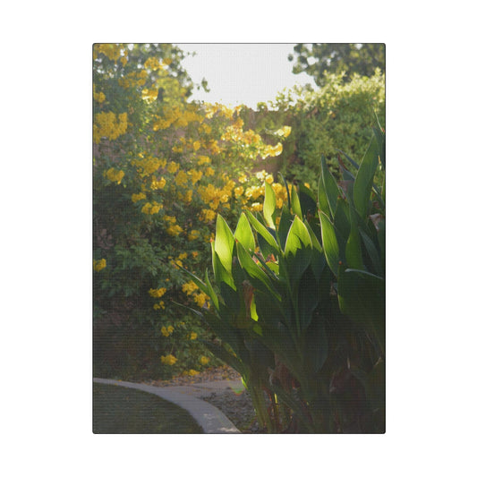 Parker Residence [Matte Canvas, Stretched, 0.75"]