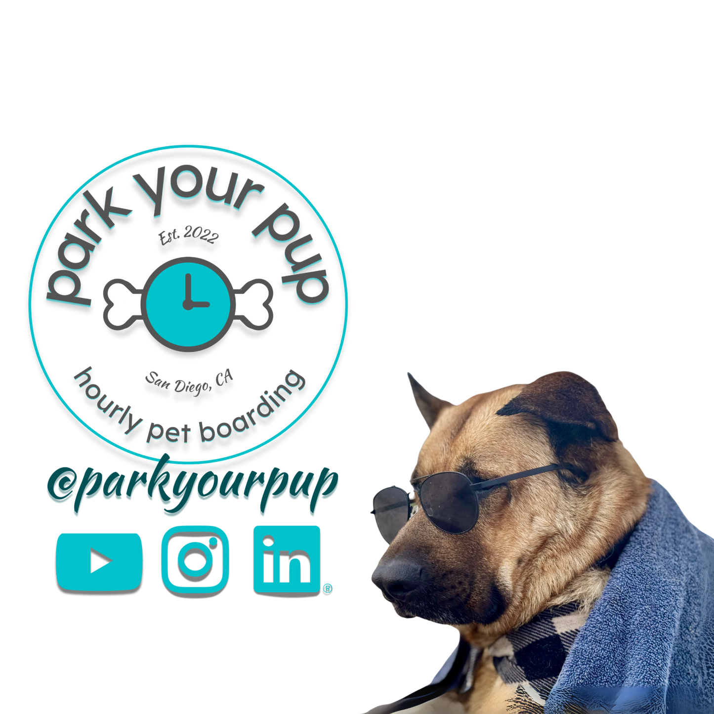 Park Your Pup (Pet Services) Investor Documents [PDF Digital Download]