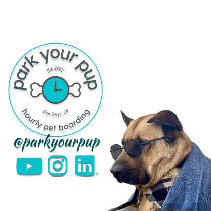 Park Your Pup (Pet Services) Investor Documents [PDF Digital Download]