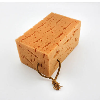 Extra Large Honeycomb Coral Cleaning Sponges Brush