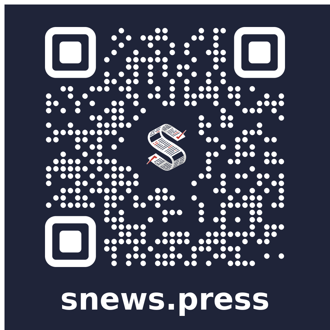 sNews (Journalism) Investor Documents [PDF Digital Download]